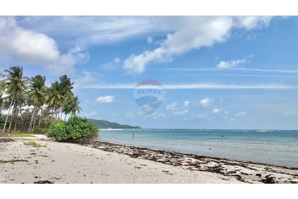 Land - Residential - For Rent/Lease - Koh Samui, Surat Thani - S__206094339_0.jpg - 920121030-296