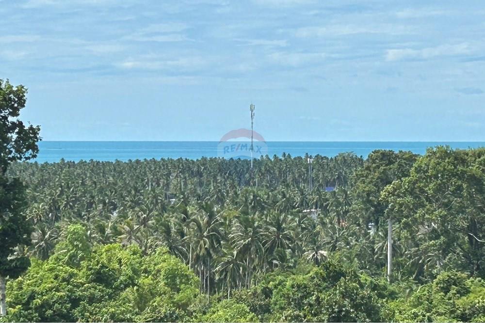 Land - Residential - For Sale - Koh Samui, Surat Thani - S__27320348_0.jpg - 920121075-97