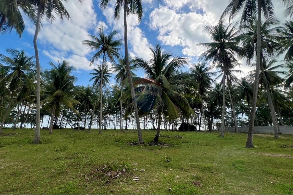 Land - Residential - For Sale - Tha Sala, Nakhon Si Thammarat - S__201138187_0.jpg - 920121030-282