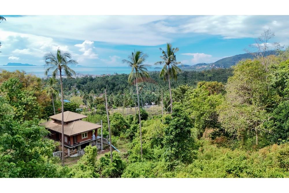Land - Residential - For Sale - Koh Samui, Surat Thani - Copy of DJI_20251012140645_0058_D.jpg - 920121075-101
