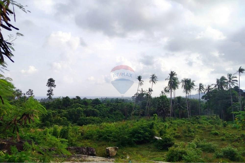 Land - Residential - For Sale - Koh Samui, Surat Thani - 642210_0.jpg - 920121075-97