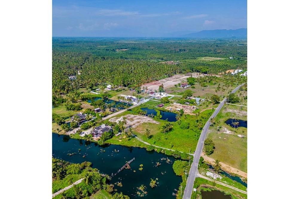 Land - Residential - For Sale - Tha Sala, Nakhon Si Thammarat - S__207192082_0.jpg - 920121030-299