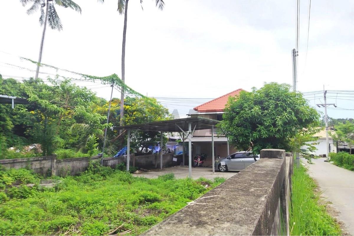 Land - Residential - For Sale - Koh Samui, Surat Thani - 673068_0.jpg - 920121075-112