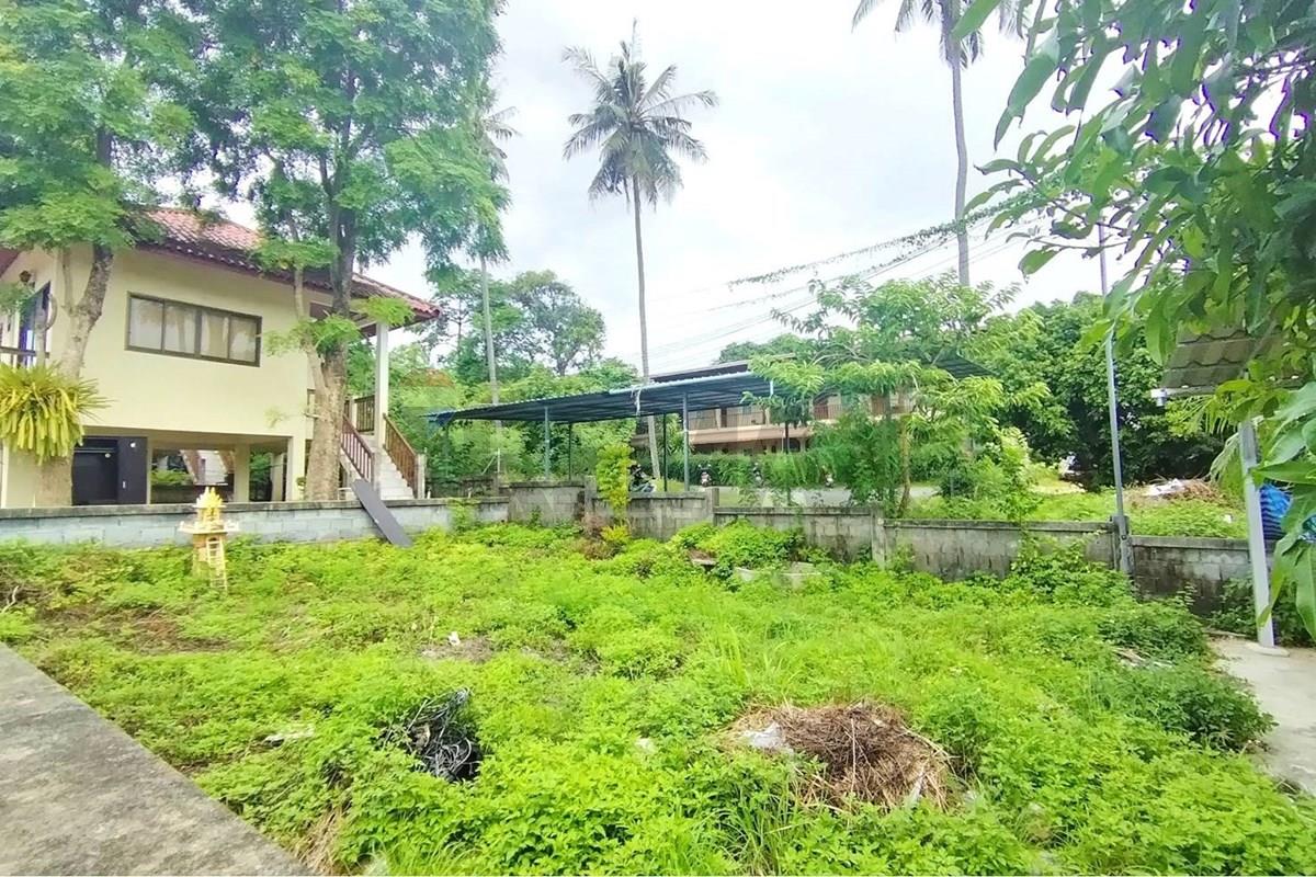 Land - Residential - For Sale - Koh Samui, Surat Thani - 673074_0.jpg - 920121075-112