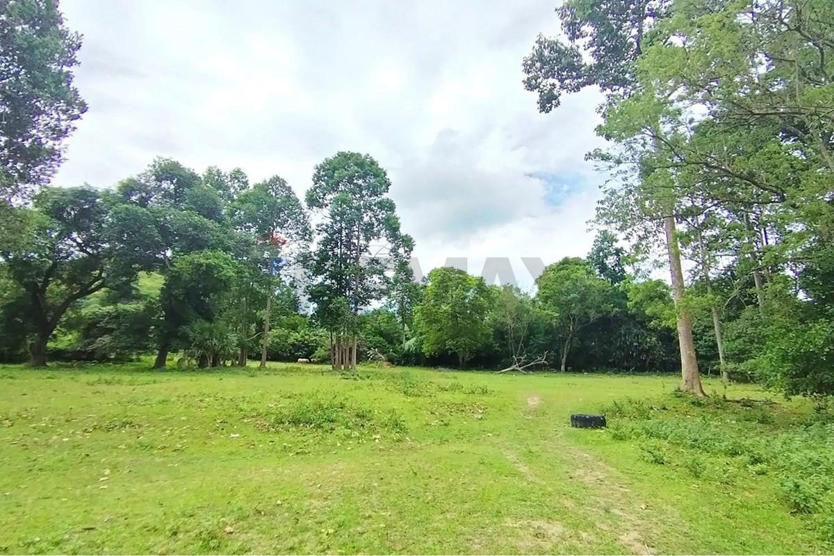 Land - Residential - For Sale - Koh Samui, Surat Thani - 672648_0.jpg - 920121075-110
