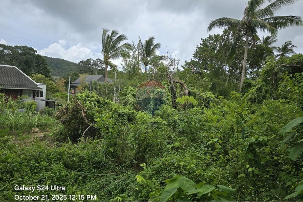 Land - Residential - For Sale - Koh Samui, Surat Thani - WhatsApp Image 2025-10-21 at 12.28.06 PM11.jpeg - 920121057-164