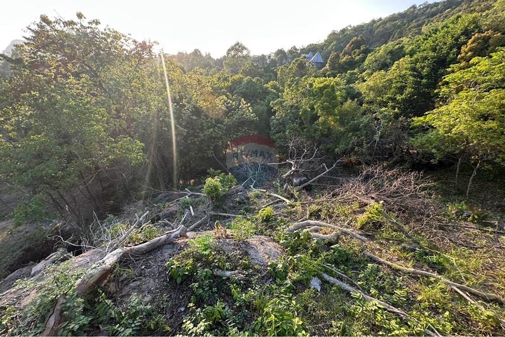 土地 - 出售 - Koh Pha Ngan, Surat Thani - WhatsApp Image 2026-03-13 at 12.01222.00.jpeg - 920621004-171