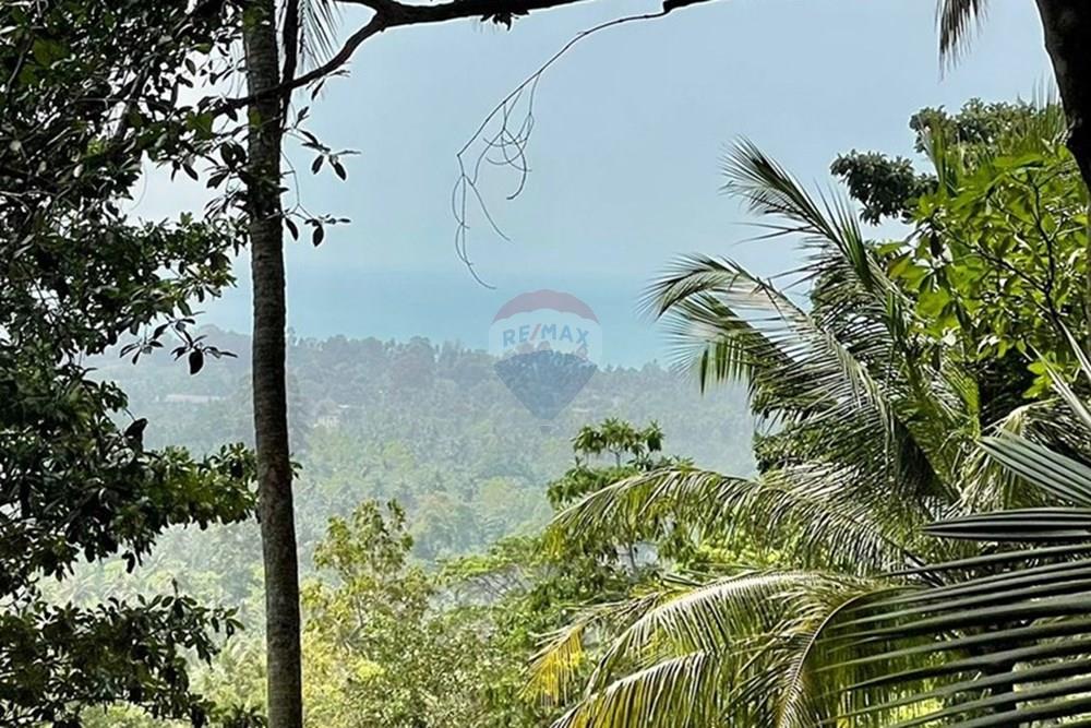 Land - Residential - For Sale - Koh Samui, Surat Thani - WhatsApp Image 2026-03-13 at 22.04.37 (1)..jpeg - 920121068-92