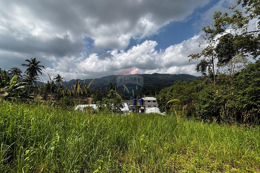 Land - Residential - For Sale - Koh Samui, Surat Thani - IMG_1775.jpeg - 920121088-20