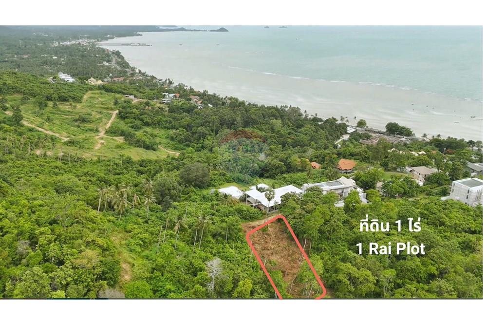 Land - Residential - For Sale - Koh Samui, Surat Thani - 2.jpg - 920121075-105