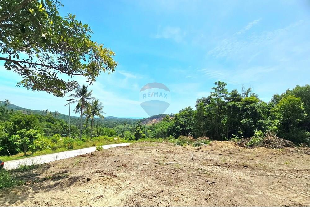 Land - Residential - For Sale - Koh Samui, Surat Thani - 012.jpg - 920121018-306