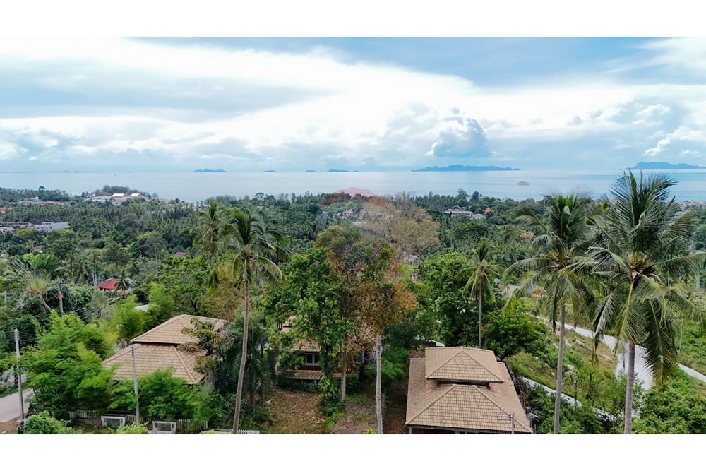Land - Residential - For Sale - Koh Samui, Surat Thani - Copy of DJI_20251012135624_0032_D.jpg - 920121075-101