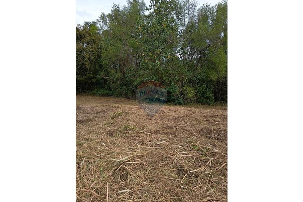 Land - Residential - For Sale - Koh Samui, Surat Thani - S__31948903_0.jpg - 920121030-292
