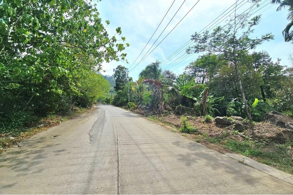 Land - Residential - For Sale - Koh Samui, Surat Thani - 545831317_10222887919506304_1129860400804908962_n.jpg - 920121018-328