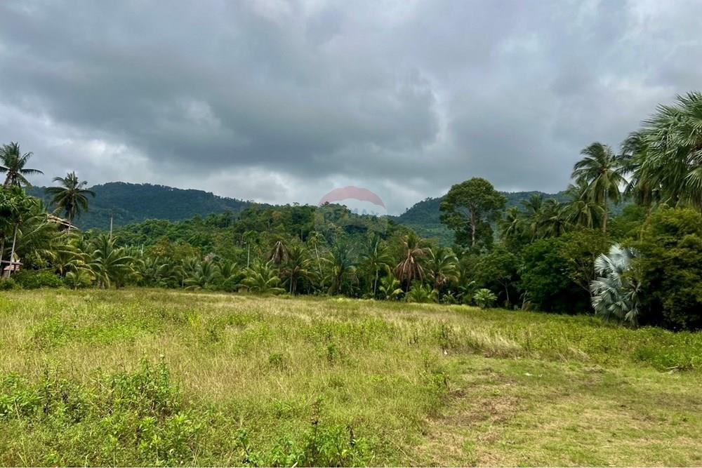 Land - Residential - For Sale - Koh Samui, Surat Thani - S__206528525_0.jpg - 920121030-297