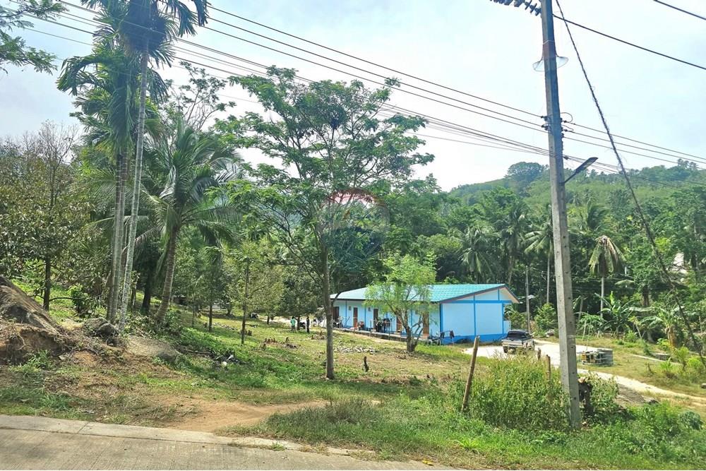 Land - Residential - For Sale - Koh Samui, Surat Thani - 545373751_10222887918706284_1294439358005059114_n.jpg - 920121018-328