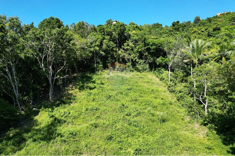 Land - Residential - For Sale - Koh Samui, Surat Thani - IMG-20251205-WA0010.jpg - 920121068-80