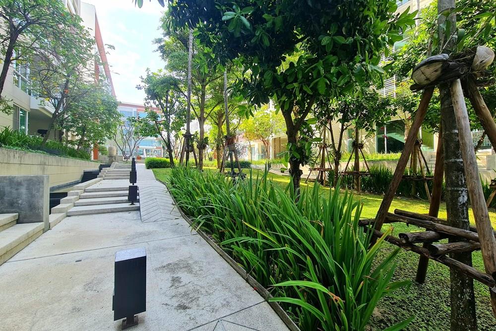 Condo/Apartment - For Rent/Lease - Hua Hin, Prachuap Khiri Khan - 20220223_142312.jpg - 920601001-1136