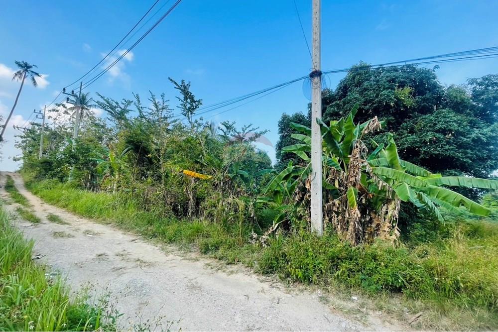 Land - Residential - For Rent/Lease - Koh Samui, Surat Thani - IMG_7068.jpeg - 920121079-50