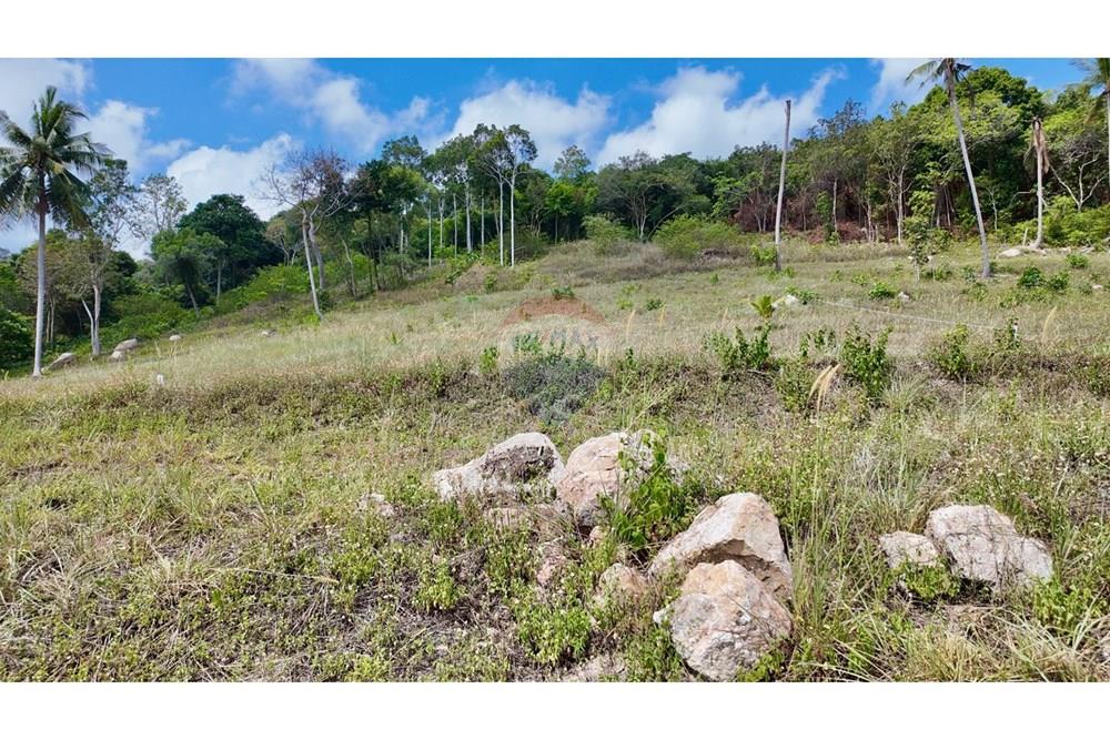 Land - Residential - For Sale - Koh Samui, Surat Thani - LINE_ALBUM_Land @MaeNam_260325_16.jpg - 920121001-3514