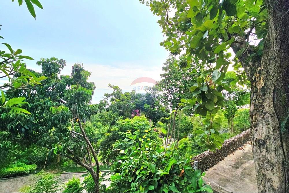 Villa - For Sale - Koh Samui, Surat Thani - 027.jpg - 920121018-317