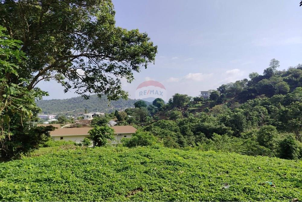Land - Residential - For Sale - Koh Samui, Surat Thani - 627015_0.jpg - 920121075-92