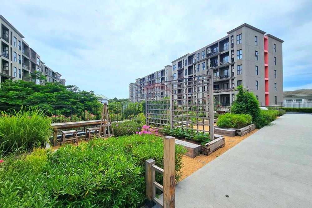 Condo/Apartment - For Rent/Lease - Hua Hin, Prachuap Khiri Khan - 20230831_114247.jpg - 920601001-1135
