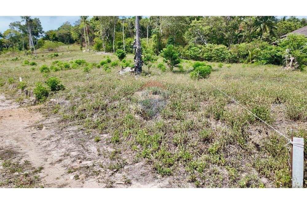 Land - Residential - For Sale - Koh Samui, Surat Thani - Plot  4.jpg - 920121001-3514