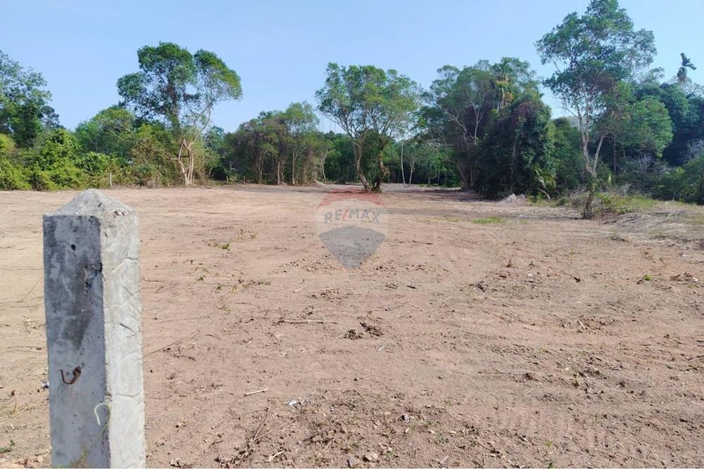 Land - Residential - For Sale - Koh Samui, Surat Thani - 655632_0.jpg - 920121075-106