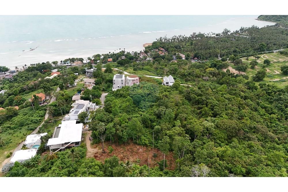 Land - Residential - For Sale - Koh Samui, Surat Thani - Bang Makham land photo.JPG - 920121075-105