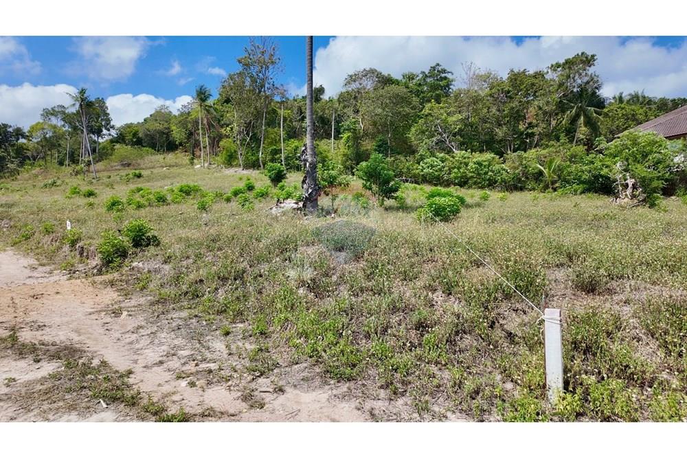 Land - Residential - For Sale - Koh Samui, Surat Thani - Plot 4.jpg - 920121001-3514