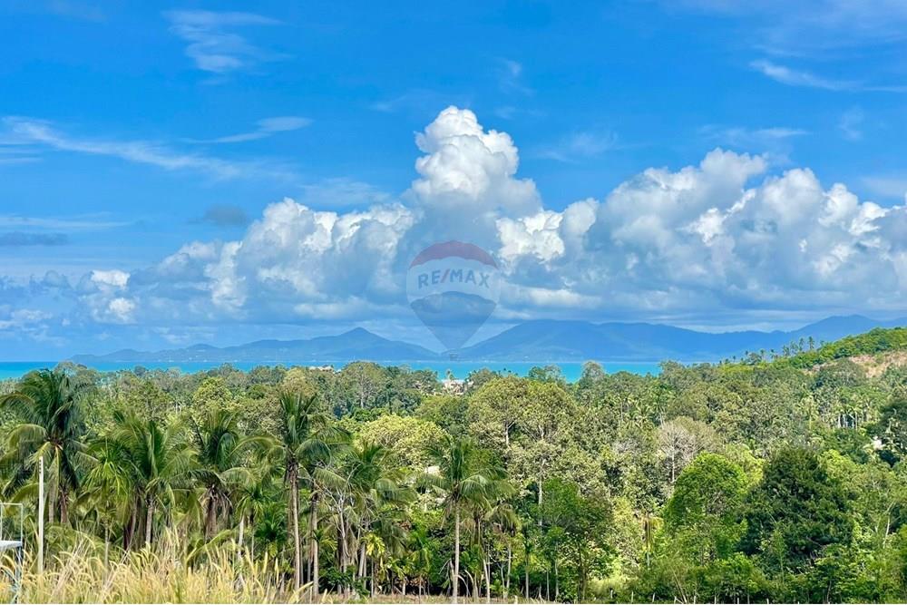 Land - Residential - For Sale - Koh Samui, Surat Thani - IMG-20251117-WA0030.jpg - 920121068-77