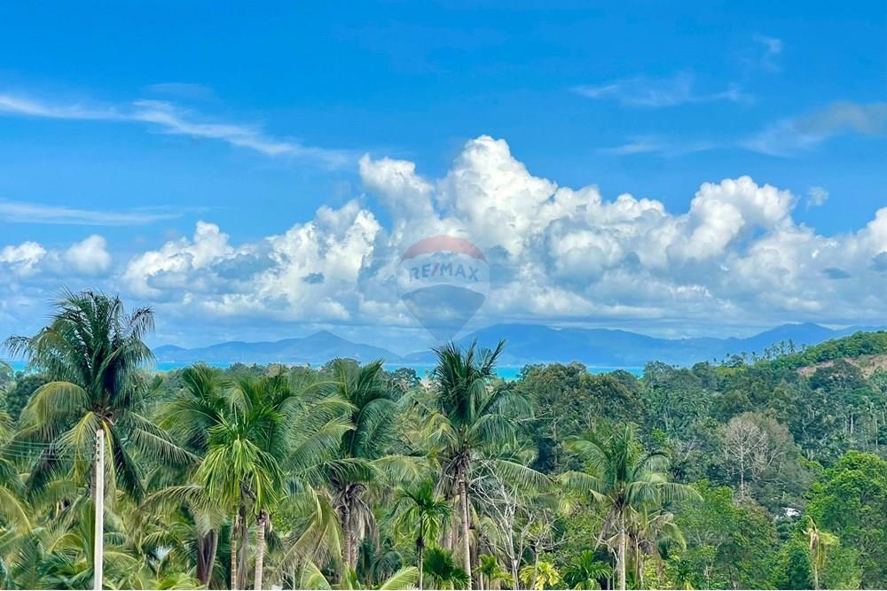 Land - Residential - For Sale - Koh Samui, Surat Thani - IMG-20251117-WA0050.jpg - 920121068-78