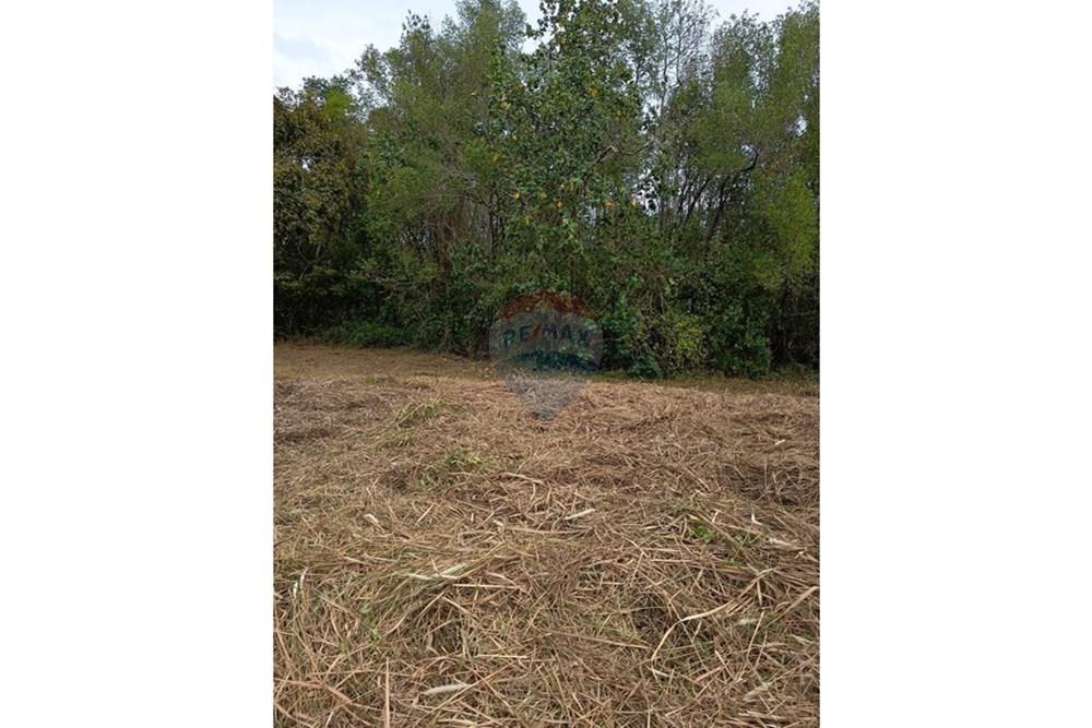 Land - Residential - For Rent/Lease - Koh Samui, Surat Thani - S__206086161_0.jpg - 920121030-296
