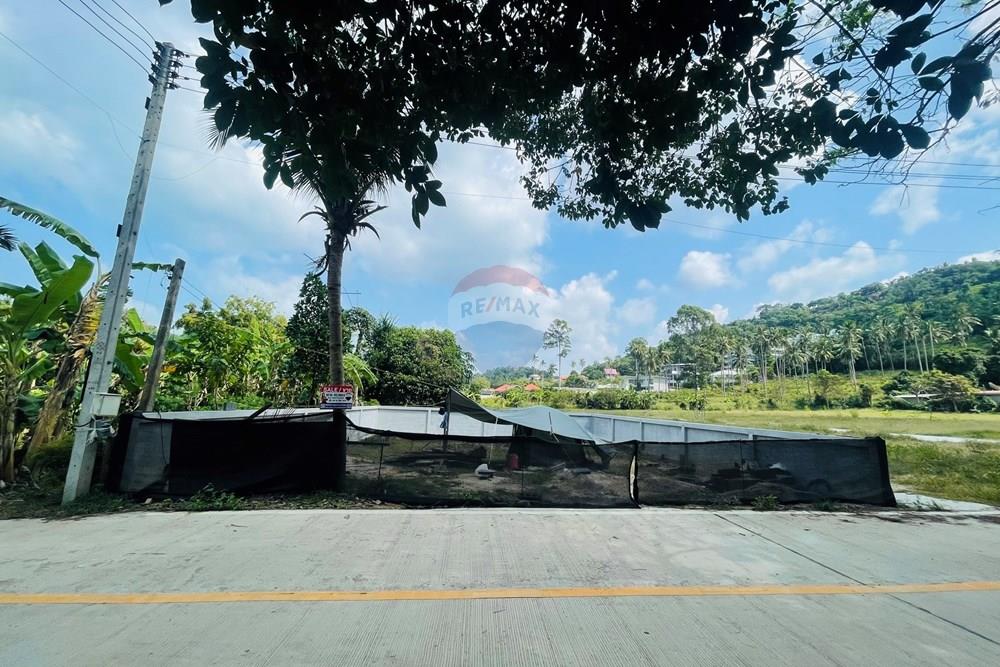 Land - Residential - For Sale - Koh Samui, Surat Thani - IMG_3920.jpeg - 920121079-38