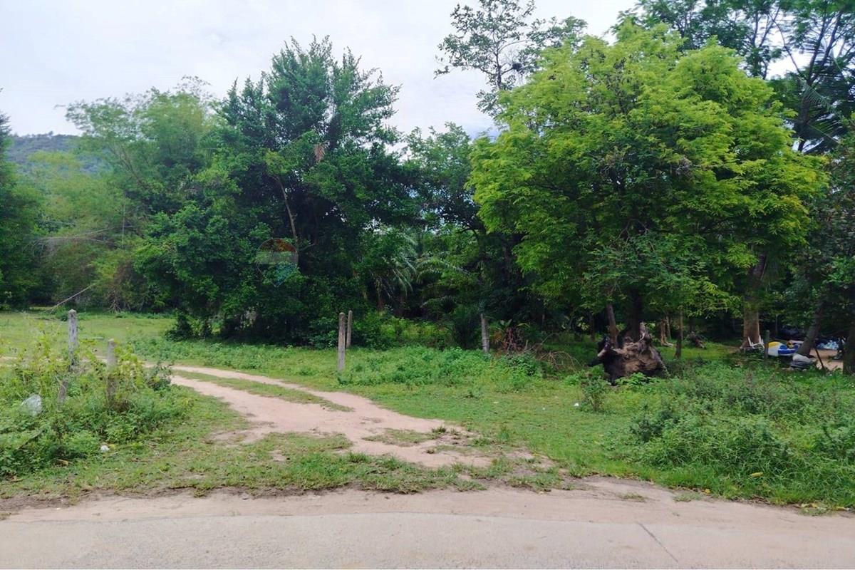 Land - Residential - For Sale - Koh Samui, Surat Thani - 672614_0.jpg - 920121075-110