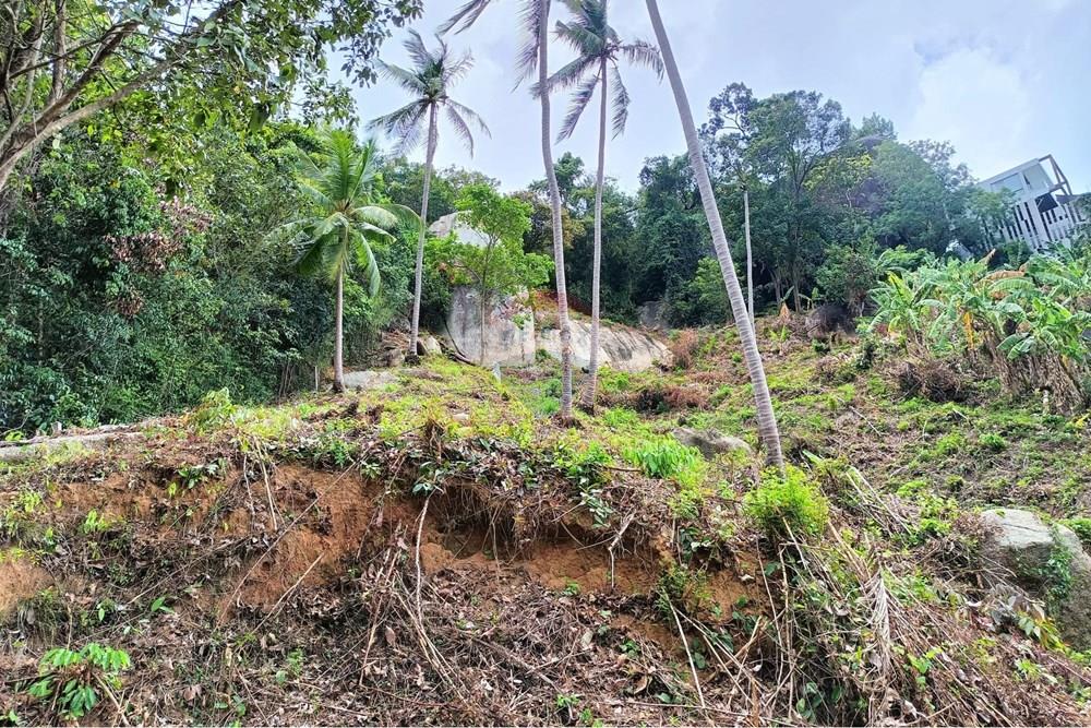 Land - Residential - For Sale - Koh Samui, Surat Thani - WhatsApp Image 2025-09-30 at 15.47.37_874f412c.jpg - 920121083-64