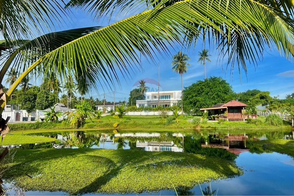 Land - Residential - For Sale - Tha Sala, Nakhon Si Thammarat - S__207192084_0.jpg - 920121030-299