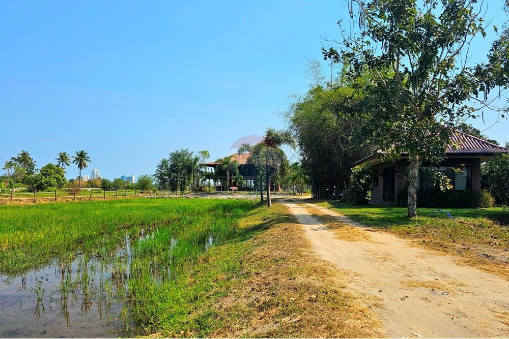 Single House - For Rent/Lease - Cha-Am, Phetchaburi - 20240122_121554.jpg - 920601001-1069