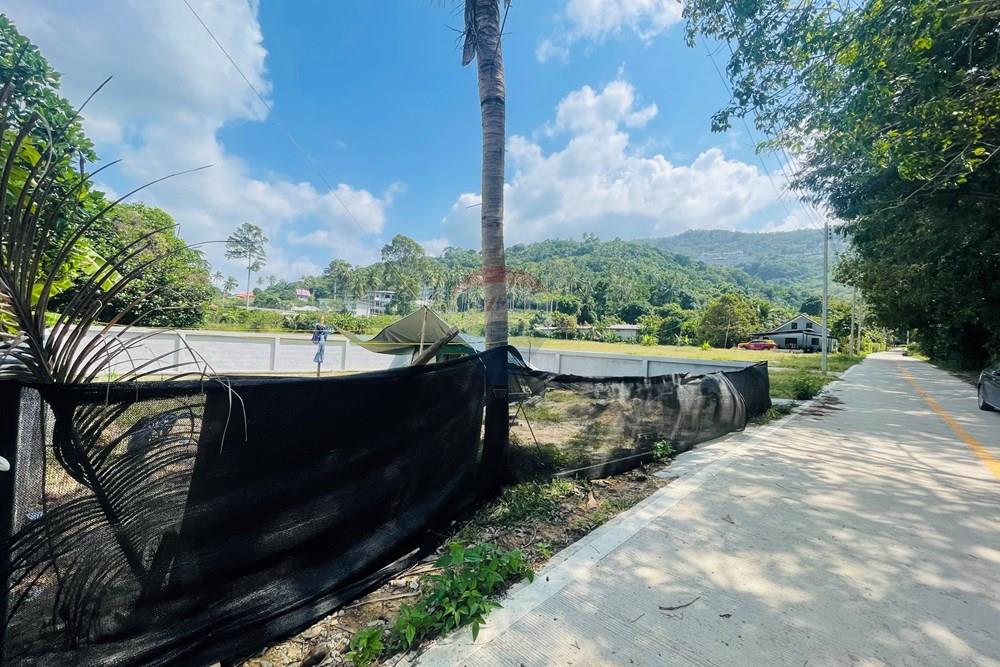 Land - Residential - For Sale - Koh Samui, Surat Thani - IMG_3912.jpeg - 920121079-38