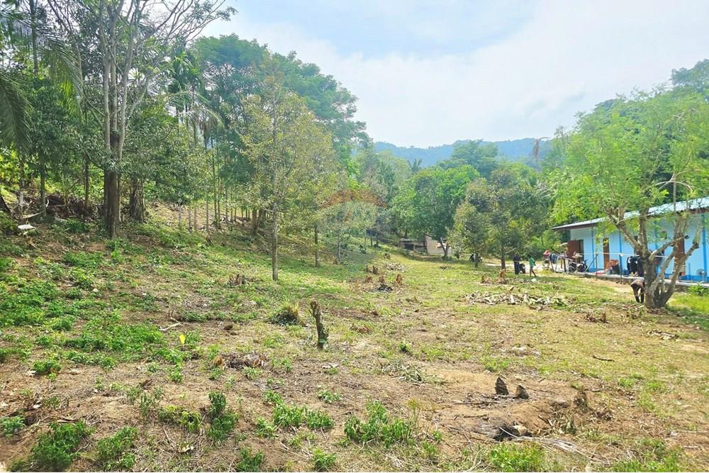 Land - Residential - For Sale - Koh Samui, Surat Thani - 011.jpg - 920121018-328