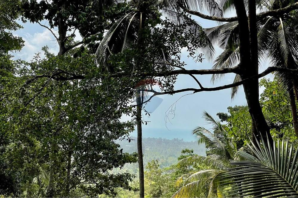 Land - Residential - For Sale - Koh Samui, Surat Thani - WhatsApp Image 2026-03-13 at 22.04.37 (1).jpeg - 920121068-92