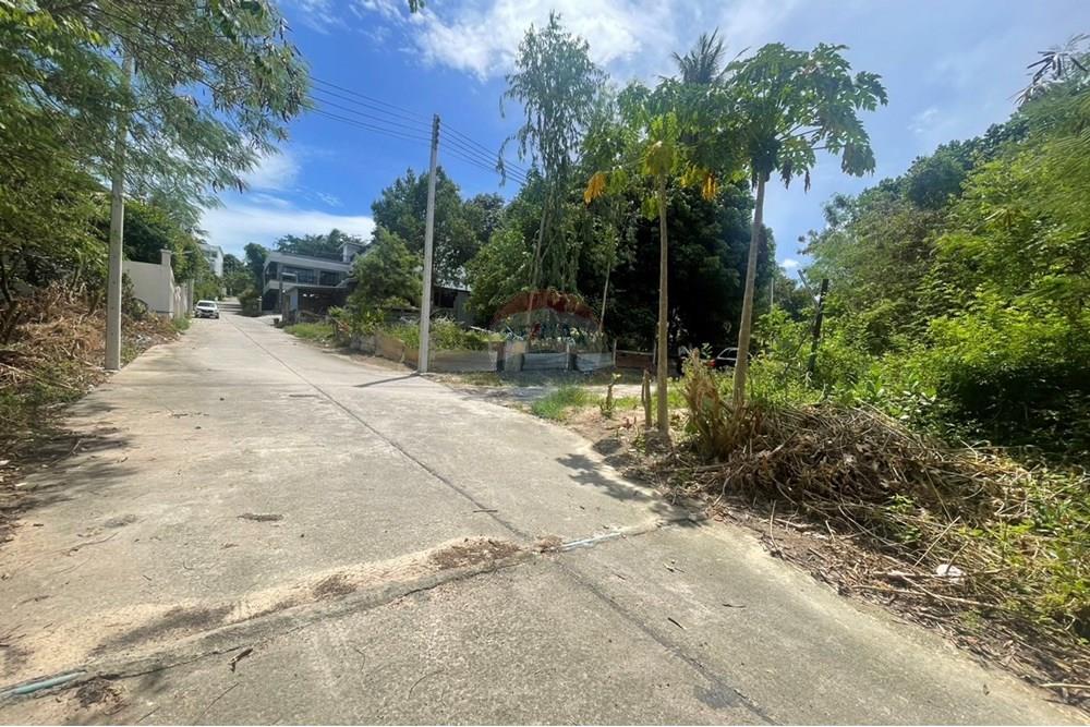Land - Residential - For Sale - Koh Samui, Surat Thani - IMG_7301.jpeg - 920121079-10