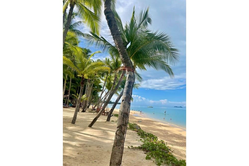 Luxury Condo - ขาย - เกาะสมุย, สุราษฎร์ธานี - compressed_1772609168747.jpg - 920121087-12