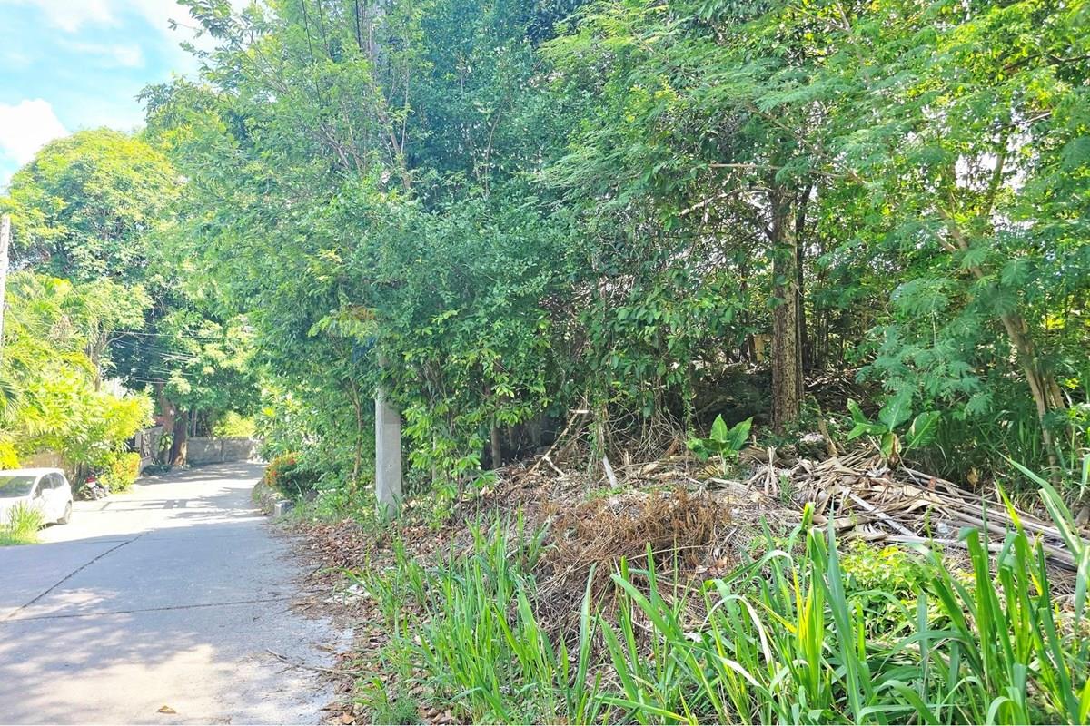 Land - Residential - For Sale - Koh Samui, Surat Thani - 009.jpg - 920121018-340