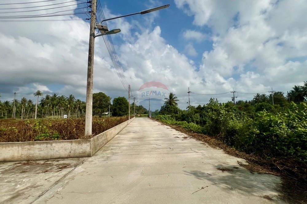 Land - Residential - For Sale - Tha Sala, Nakhon Si Thammarat - S__207192075_0.jpg - 920121030-299