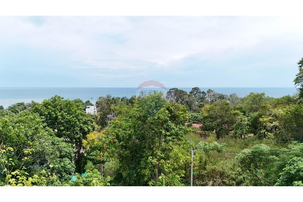 Land - Residential - For Sale - Koh Samui, Surat Thani - DJI_20251003125446_0192_D.JPG - 920121075-98