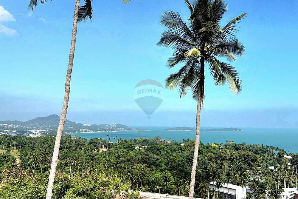 Land - Residential - For Sale - Koh Samui, Surat Thani - 597928636_10223873038613666_4683609184542681600_n.jpg - 920121018-321