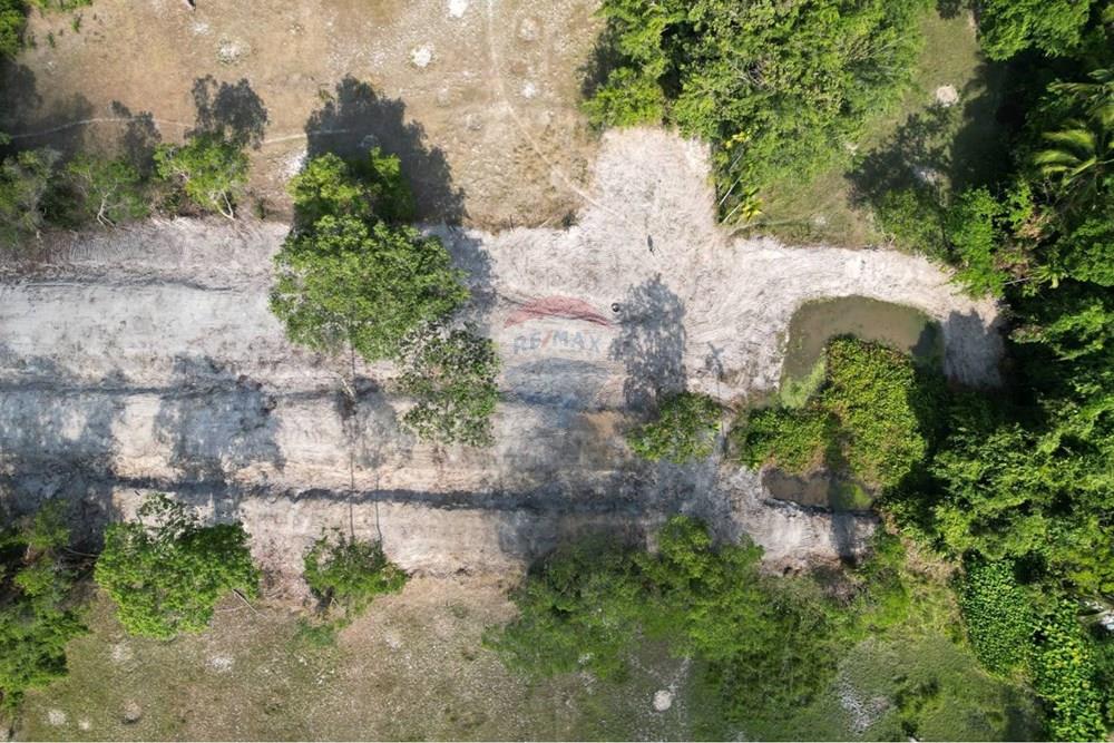 Land - Residential - For Sale - Koh Samui, Surat Thani - 655567_0.jpg - 920121075-106