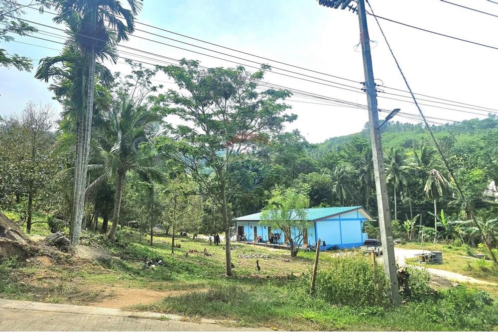 Land - Residential - For Sale - Koh Samui, Surat Thani - 545158449_10222887913986166_3940253448348183839_n.jpg - 920121018-328